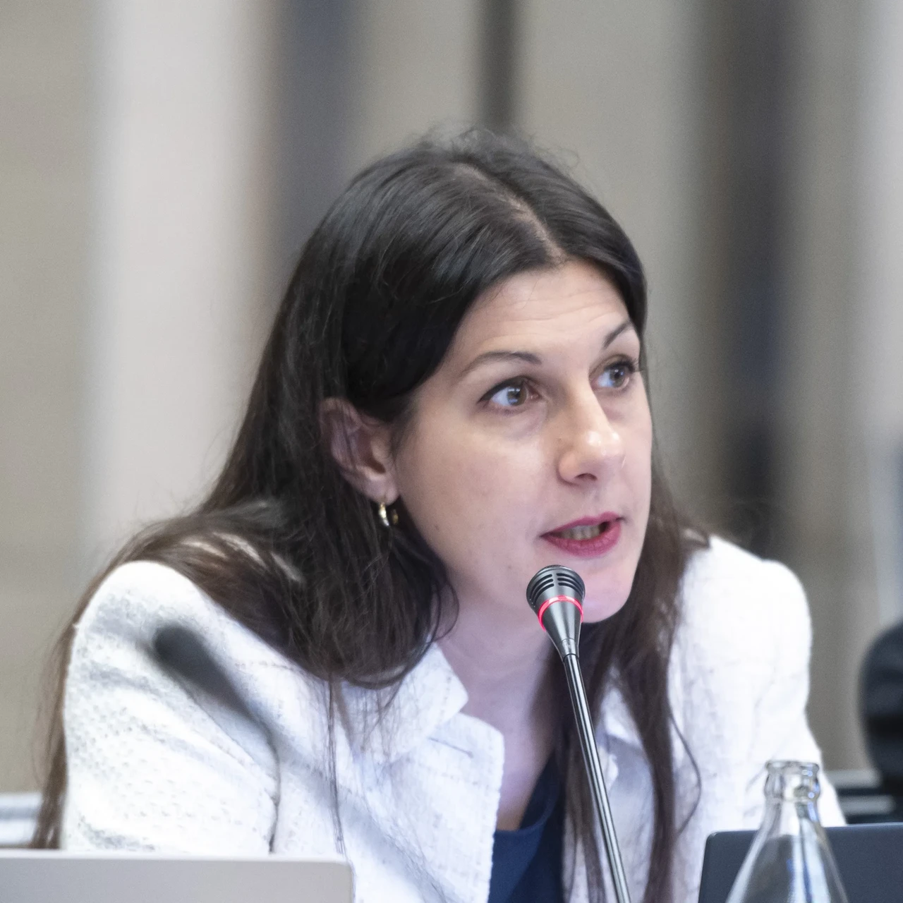 Cécile Seguineaud, copyright: -